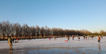 Album afbeelding 2